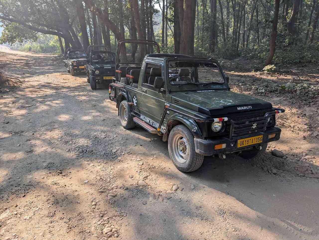 corbett jeep safari